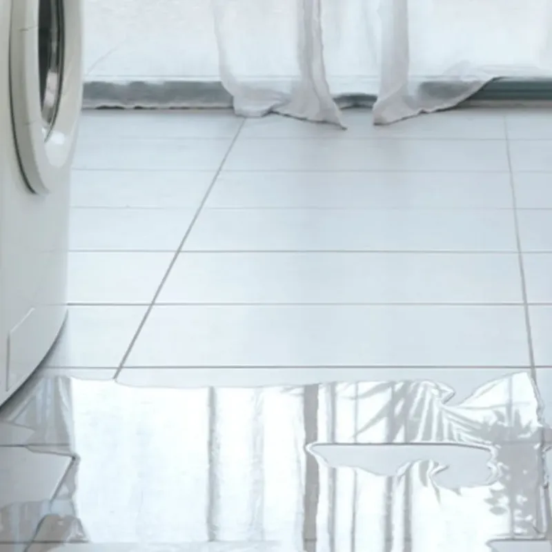 Appliance Leak Cleanup in Baylor County, TX