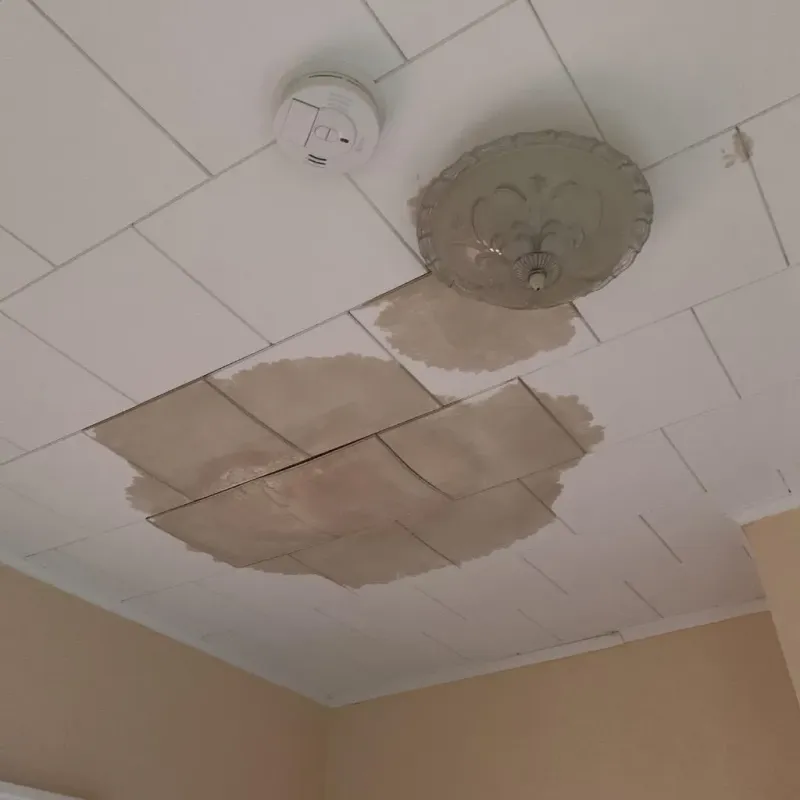 Ceiling Water Damage Repair in Baylor County, TX