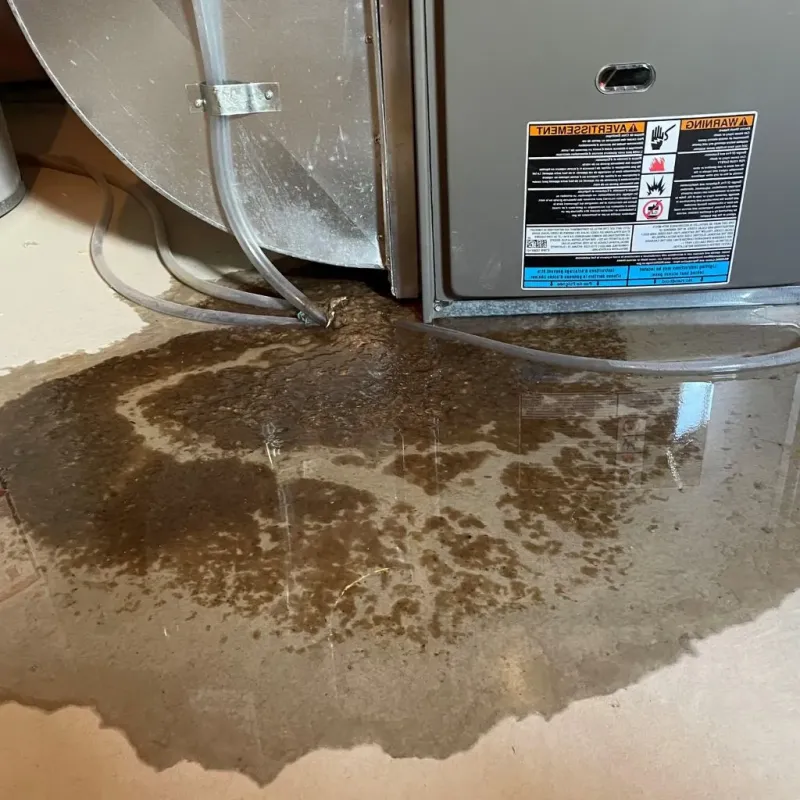 Pipe Burst and Leak Restoration in Baylor County, TX