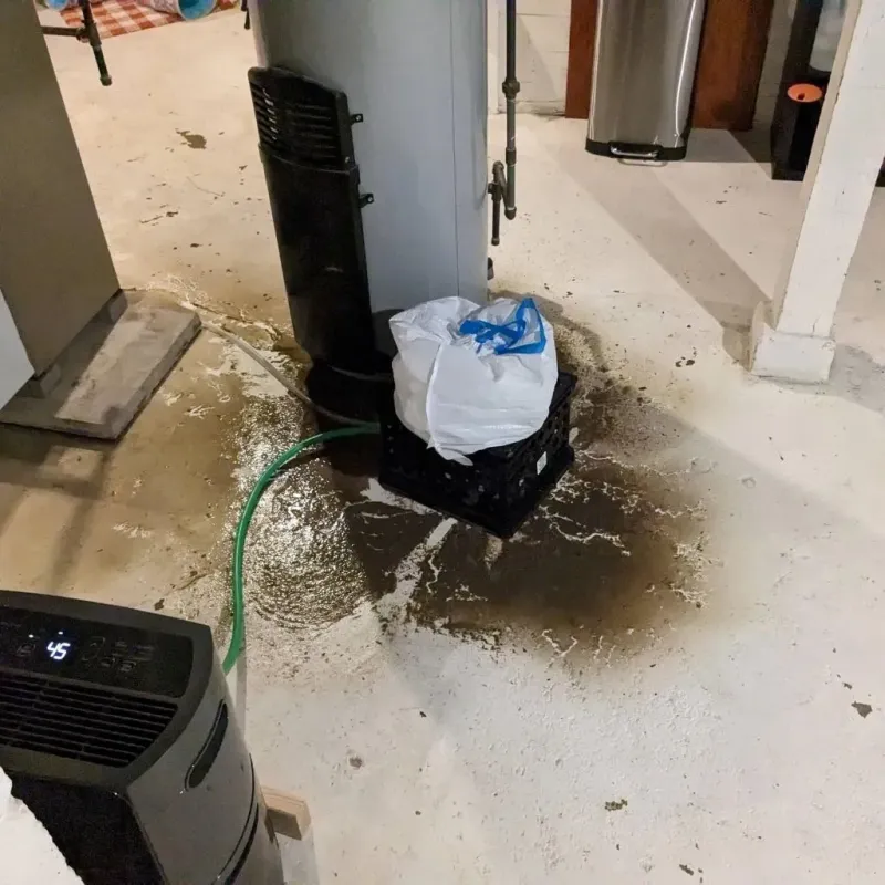 Sewage Backup Cleanup Service in Baylor County, TX